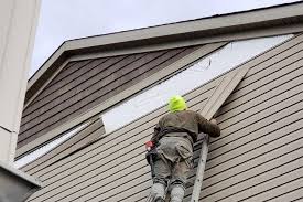 Best Vinyl Siding Installation  in Agua Fria, NM